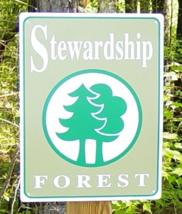 NC Stewardship Forest designation